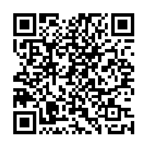 无数古神教的白衣教士和黑衣教士聚集在灰殿外面的广场上二维码生成