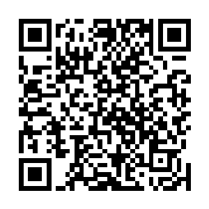 无数四野中劫后余生的人们看着这支铁甲骑士组成的队伍二维码生成