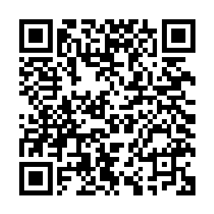 无数声爆响在严紫和许紫烟等人的中间形成了一条符箓爆破带二维码生成