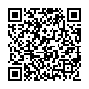 无数大型工程法宝正在超重型履带车的拖曳之下二维码生成