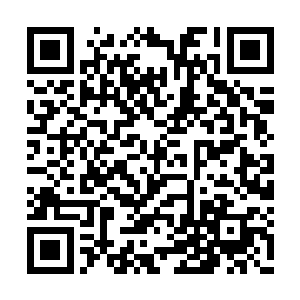 无数如同汽车大小的树苗便从他树枝上激射而出二维码生成