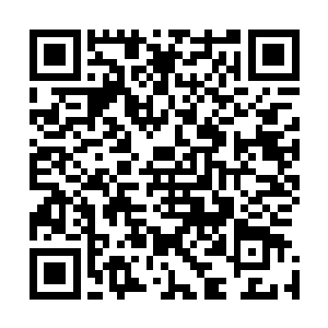 无数妖魔战舰和大型飞空妖兽在通天城附近的空港起起落落二维码生成