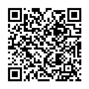 无数惨无人道的景象一一呈现在两名年轻人的面前二维码生成