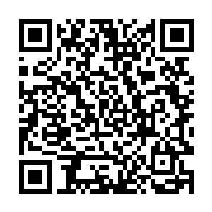 无数无可的都在冲击着前方王家众修士的脆弱的内心二维码生成