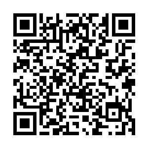 无数星空异族的幼崽都在元始文明的万炮齐鸣下瑟瑟发抖二维码生成