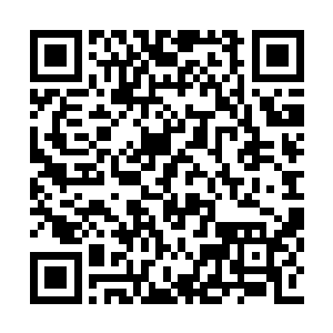 无数条可能的因果线和逻辑链在他脑中飞舞盘旋二维码生成