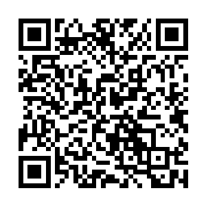 无数条短信息似乎全都选择在这一时间轰炸他的手机二维码生成