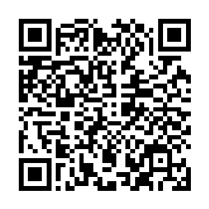 无数界面生灵既有可能面对几千万年来最为残酷的灾难二维码生成