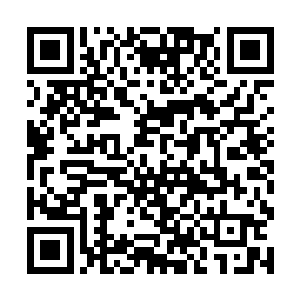 无数的修士都通过了护族大阵看到了那个符人的威能二维码生成