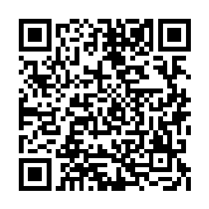 无数的元力巨人围绕着星域宗大修士急速地盘旋二维码生成