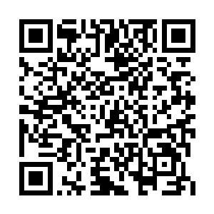 无数的天材地宝疯狂的涌入了自己的储物戒指中二维码生成