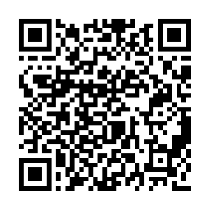 无数的天道彩色光束顿时无差别的轰向了李破晓二维码生成