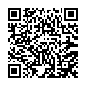 无数的小山一般的岩石从四面八方向着韩青青不断地砸去二维码生成