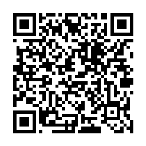 无数的来自仙界各地的大大小小的势力纷纷的齐聚天龙星二维码生成