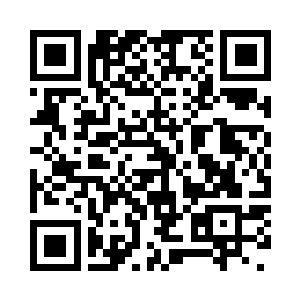 无数的水鸟在下面的湖面上成群结队的飞舞着二维码生成