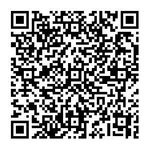 无数的艾斯基尔城的民众此刻已经被鲁道夫长老最后的几句慷慨激昂的话语撩拨得满腔仇恨而又热血沸腾二维码生成