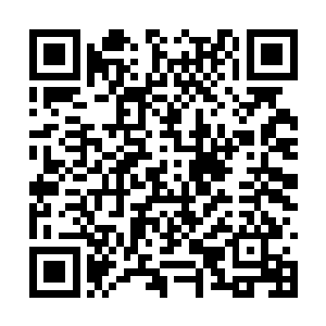 无数的蓝衣弟子便是在整齐的摆着太极剑舞的姿势二维码生成