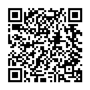 无数瞧着那天价的代言费都眼晕的二线三线明星们二维码生成