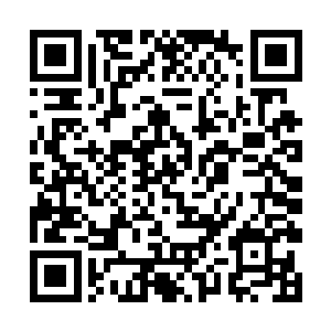 无数神魂碎片投入到了全新的生命之旅和抗争之路上二维码生成