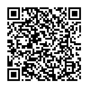 无数细若发丝的纯净血色如同人体中的血管一般在神魂碎片的这个角中二维码生成