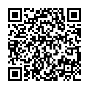 无数警车上的小灯在夜色中像是红蓝色的小星星一样闪着二维码生成