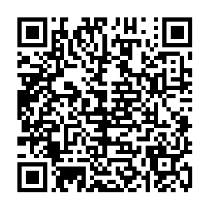 无数记忆片段就像一片片嫩绿的茶叶在水中翻腾着以轻柔的姿势缓缓舒展开来二维码生成