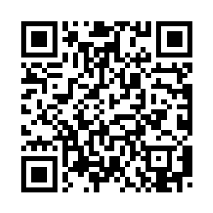 无数象征着和平的虚拟白鸽被释放二维码生成