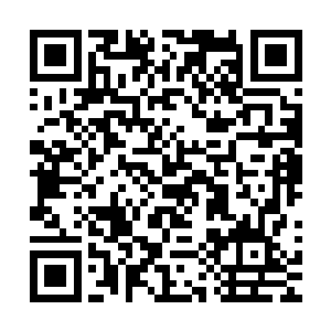 无数还没有逃脱掉的天地宗门人这一刻都被轰炸成了血雨肉渣二维码生成