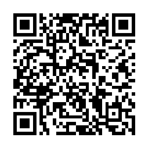 无数道不敢置信的目光只是迎向笑得云淡风轻的萧言二维码生成