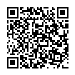无数道镌刻其上的铭纹在浩然正气的催动下倏地亮了起来二维码生成