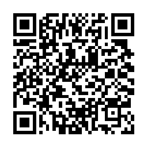 无数镁光灯在外交部长王宠惠走出来的瞬间闪动二维码生成