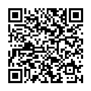 无数隐晦难拗的感悟齐刷刷的进入风清扬神魂当中二维码生成