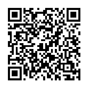 无极天后期和无极天顶峰虽然说仅仅只隔了一个小境界二维码生成