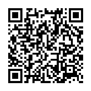 无根树祖做的第一件事就是断掉燃上火焰的部分二维码生成