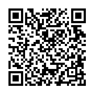 无比可怕的无情之剑以及两种绝世力量灌输而出二维码生成