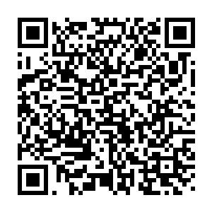 无比锋利且带有先天威压的剑意――他的短剑现在是新一代的龙吟剑二维码生成