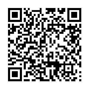 无法一下子接收老怪物常鸿如此庞大的记忆和传承二维码生成