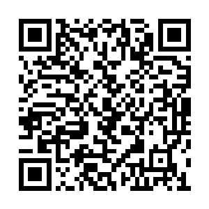 无法使用法眼的苗毅和玉罗刹看不清里面的情形二维码生成