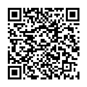 无法想象这些凶残的妖兽究竟会在天都市造成多么大的破坏二维码生成