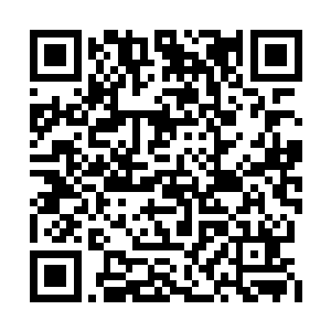 无涯子又连续斩杀了龙天明手下六个天转境强者二维码生成