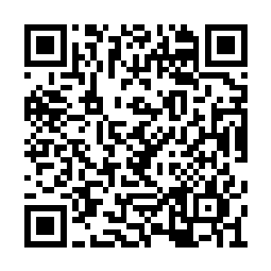 无疆域这些遭受无妄之灾的人可都是因为他而起二维码生成