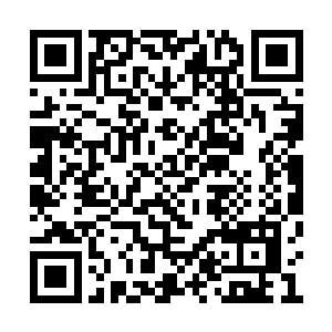 无疑是一个赶尽杀绝君主阁全部战力的天赐良机二维码生成