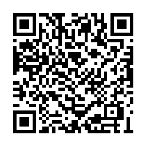 无疑是几个帝尊境的小辈在其中历练遭遇了什么二维码生成