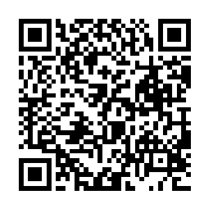 无疑让提丰的一众后裔感觉到了巨大的屈辱以及愤怒二维码生成