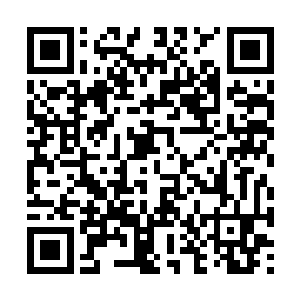 无疑说明了专业评论对这部作品几乎是批判漫天飞二维码生成