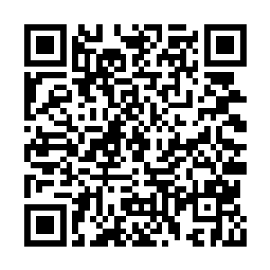 无穷无尽的麒麟魔火化为一道道巨大的火焰巨掌二维码生成