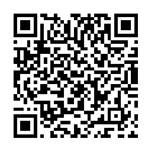 无言望着那两个竟敢用直行路线大摇大摆横穿荒原的人类二维码生成