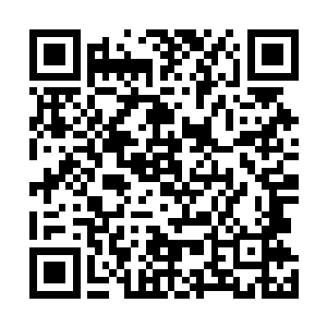 无论他们再如何努力也很难对龙阳的防御造成任何的冲击二维码生成