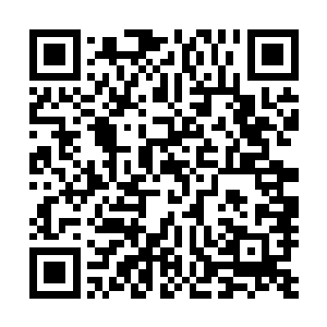 无论他是修真者还是域外天魔还是别的稀奇古怪的异星生命二维码生成