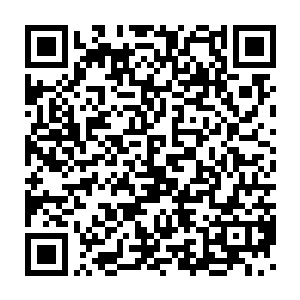 无论以什么方法都绝对不可能伤到一名状态完好的仙尊境三重天强者二维码生成